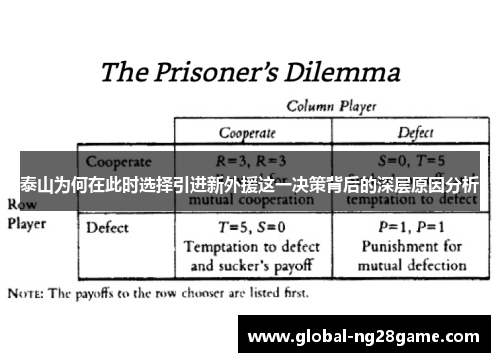 泰山为何在此时选择引进新外援这一决策背后的深层原因分析